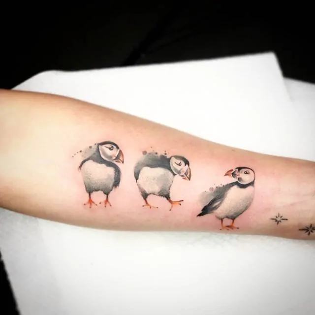 Three wee puffins by Noemi for Beth at Watermelon Tattoo. 
