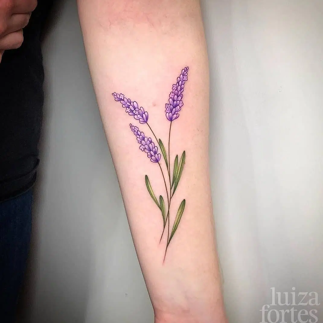 Dainty and delicate lavender for lovely Emily last week. Tattoo by our wee Brazilian Luiza at Watermelon Tattoo! 