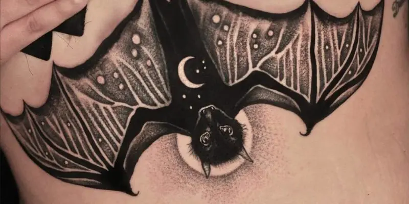 moth tattoo under chestTikTok Search