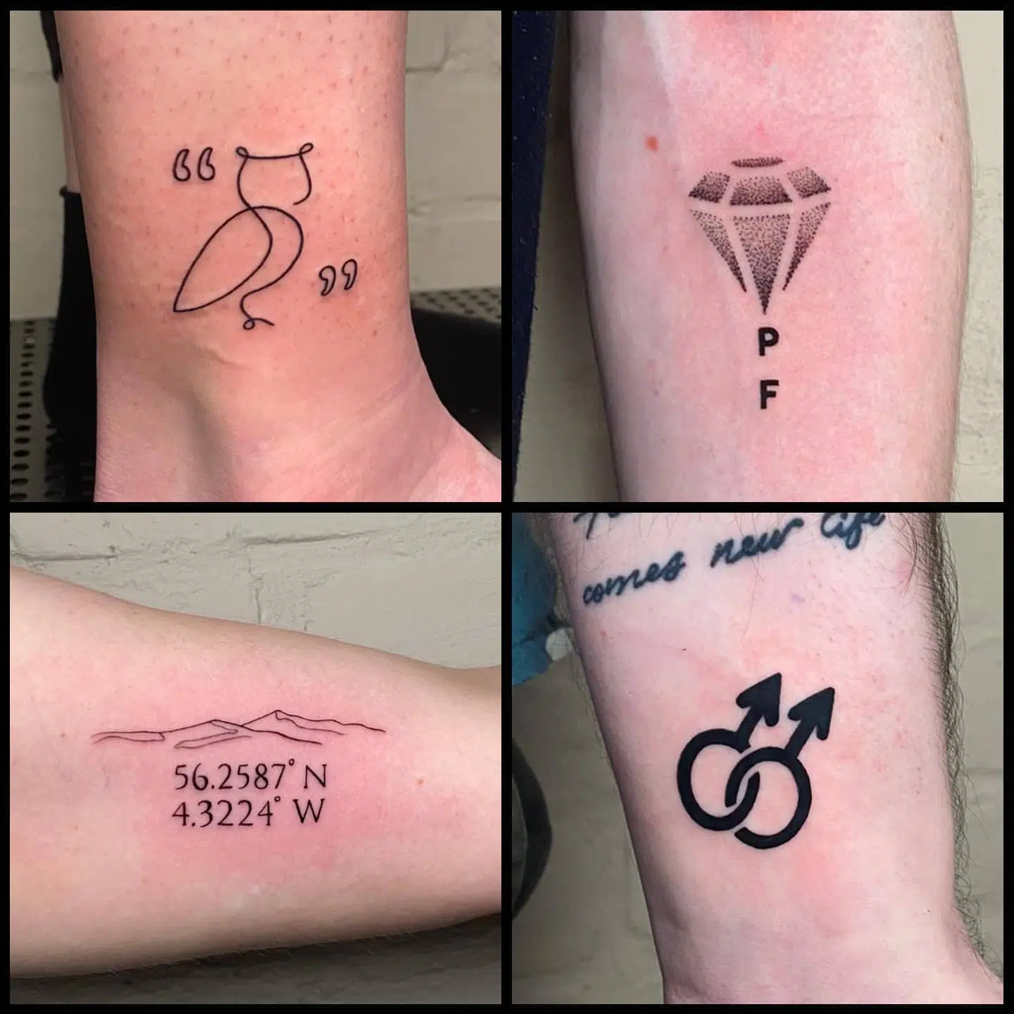No job too small! These wee beauties are as clean as a whistle, all done by Noemi the last couple of days!
noemi_tattoo               