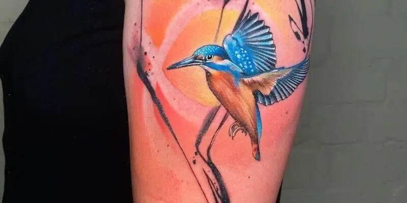 Kingfisher Bird Clip Art, Wildlife Animal Illustration, Printable Abstract  Stencil, Tattoo, Sticker, Decal - Etsy