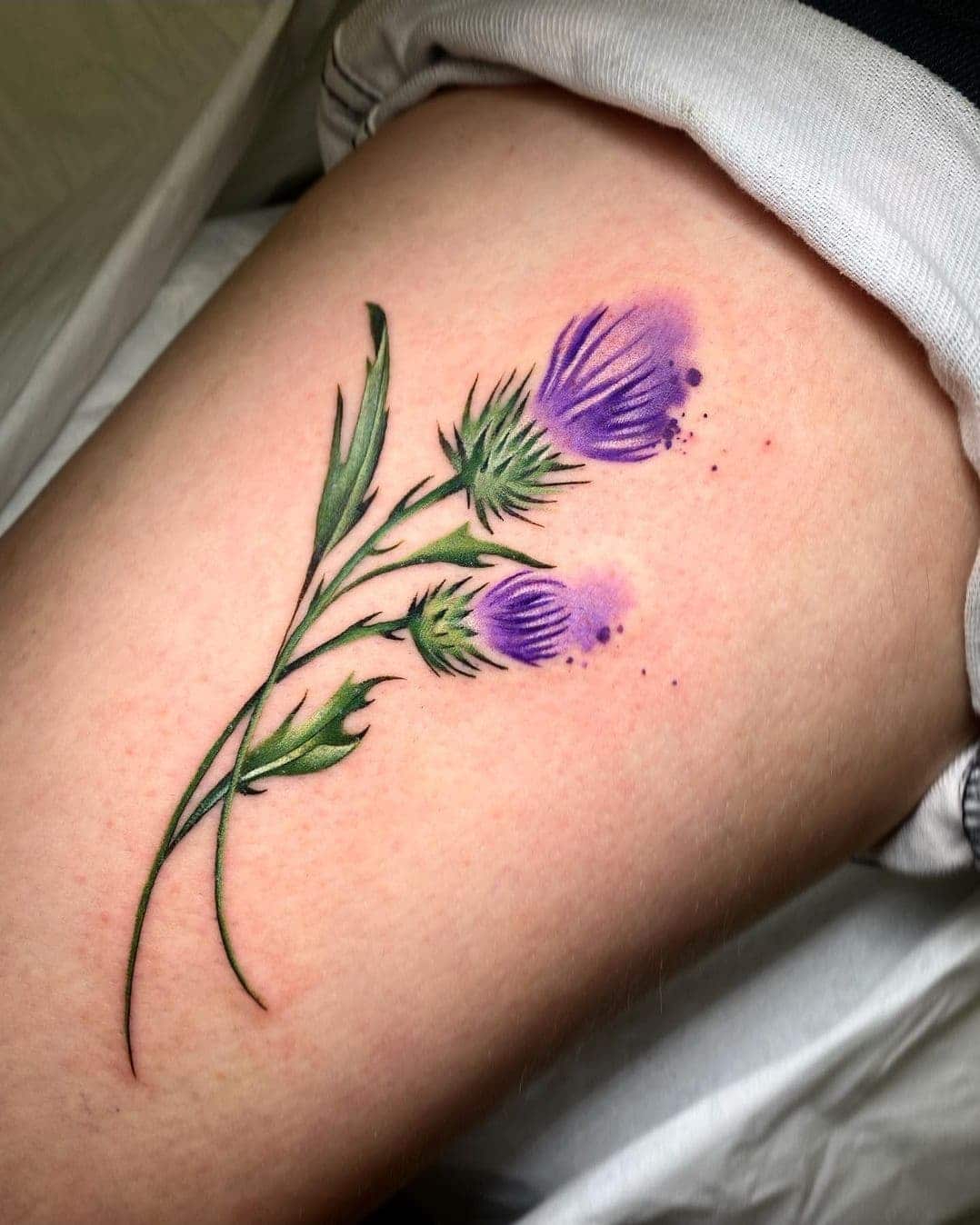 A couple of thistles for Niamh by Noemi. Beautiful work as always.
noemi_tattoo 

          