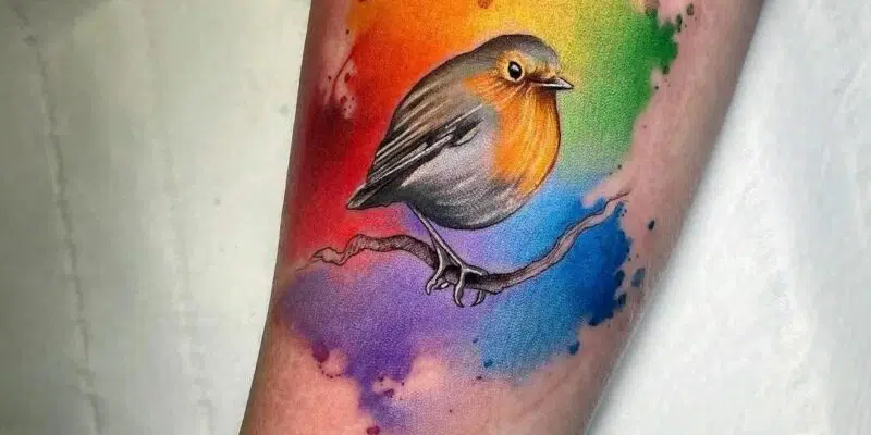 Robin. Wraps a bit around the forearm. #tattoo #tattoos #r… | Flickr