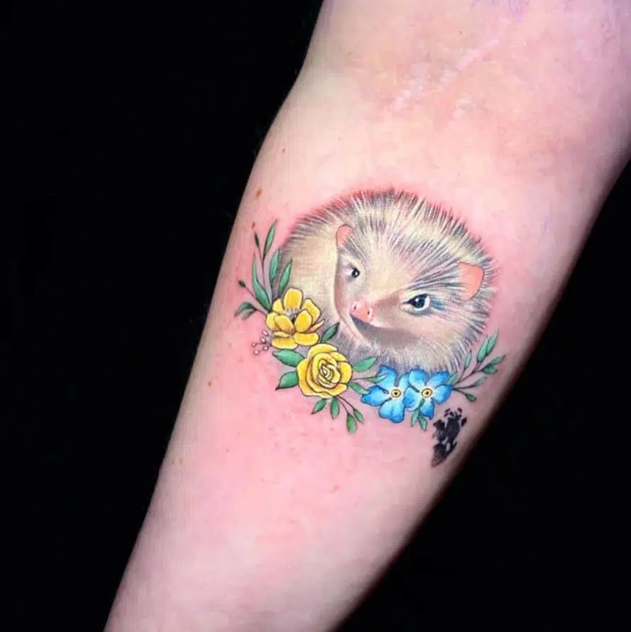Haggis the albino hedgehog!
Was an absolute pleasure to facilitate this tattoo in memory of Amy's wee spikey friend. Thanks for travelling down from Skye to see us. Tattoo by Noemi :)

noemi_tattoo                 