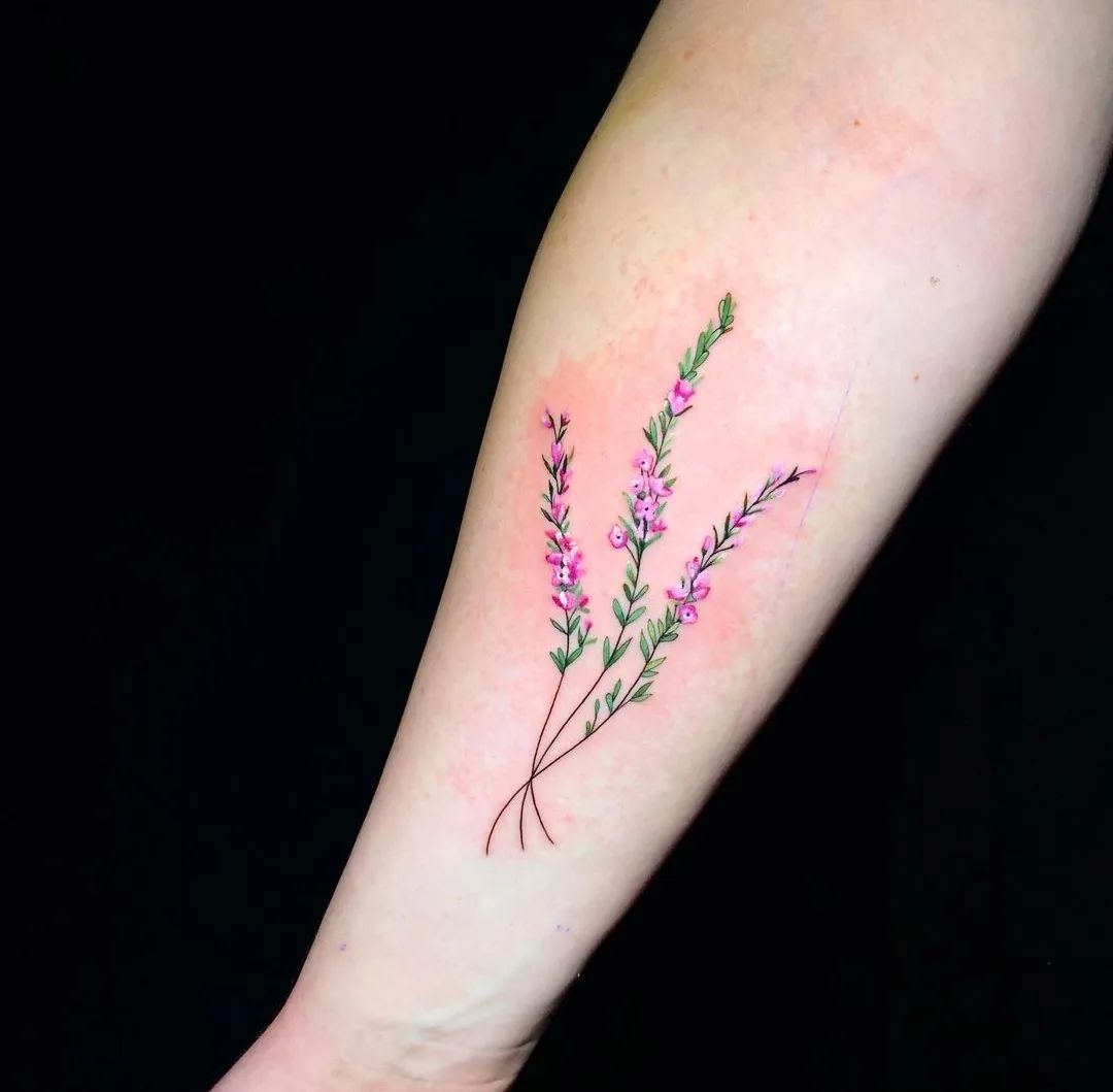 Three sprigs of Heather for lovely Laura.
Tattoo by Noemi
noemi_tattoo 

                  