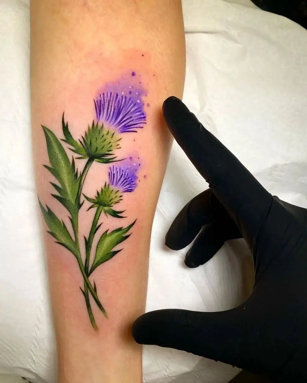 Pair of thistles in watercolour by Noemi! Never get tired of seeing Noemi's beautiful thistles. Thanks so much for coming Claudia!!!!

                         