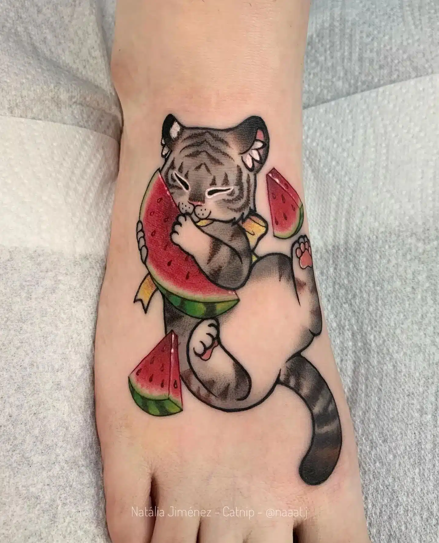 Silver tiger having a wee munch on juicy watermelon. Lovely stuff by our fabulous Natalia naaat.j !🍉❤️🐯

                     