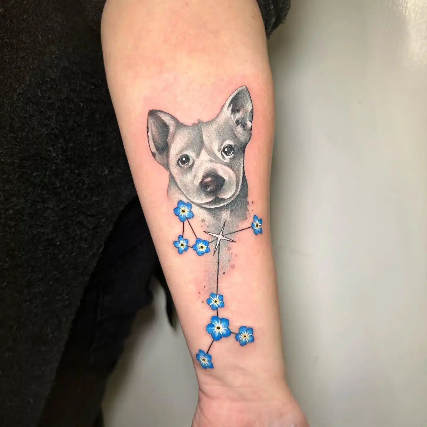Wee Sirius the good boi and a forget-me-not constellation. Always a pleasure tattooing tattooer and thanks for coming all the way from Rome valeria.cynath_tattooer . Tattoo by oor Noemi ❤️
noemi_tattoo

            
