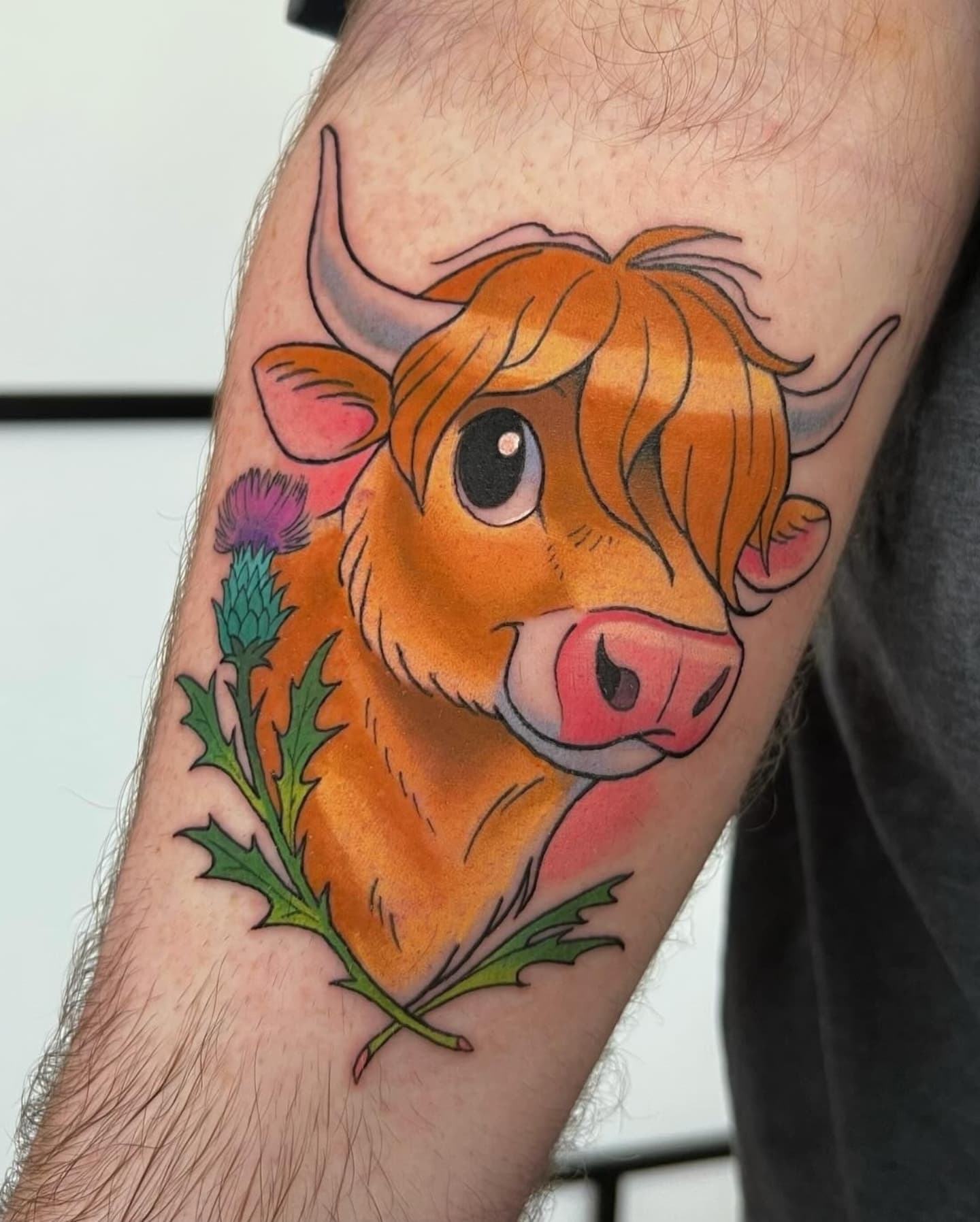 A wee selection of some recent Highlan' Coo's by oor Chelsea | chelsea_heslop .
Aren't they the cutest?!
●
A wee selection of some recent Highlan' Coo's by oor Chelsea | chelsea_heslop .
Aren't they the cutest?!
●